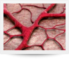 fisioterapia caviglia